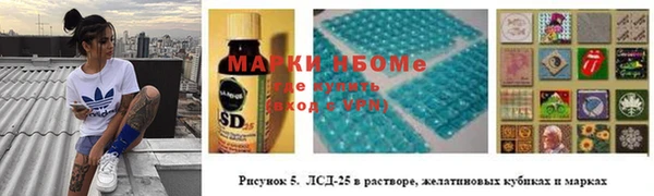 дмт Белокуриха