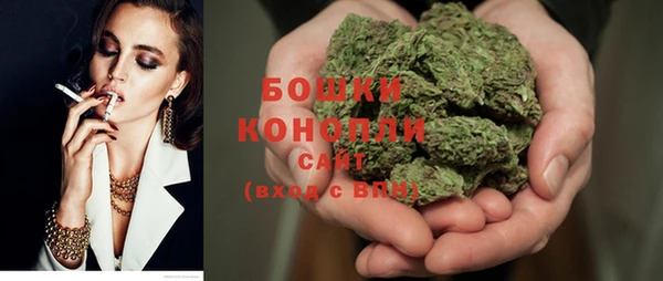 дмт Белокуриха