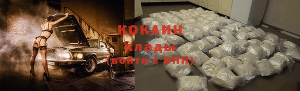 шишки Беломорск