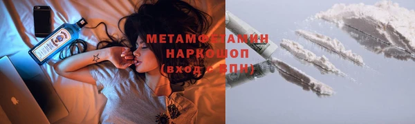 шишки Беломорск