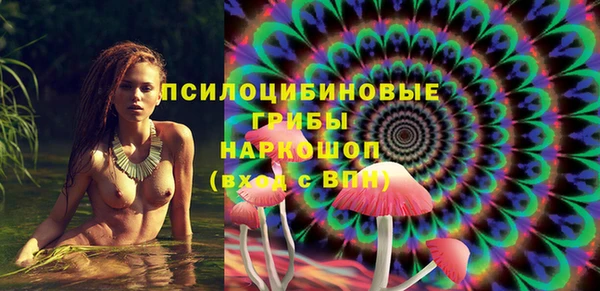 дмт Белокуриха