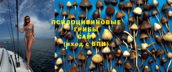 шишки Беломорск
