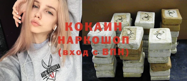 шишки Беломорск