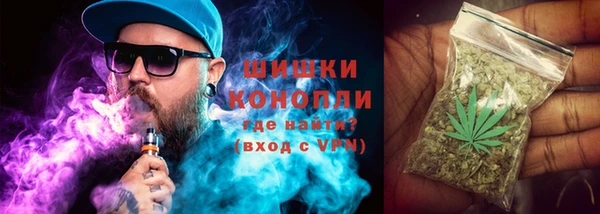 дмт Белокуриха