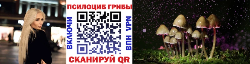 купить   Вельск  Галлюциногенные грибы Cubensis 